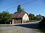 Třibřichy